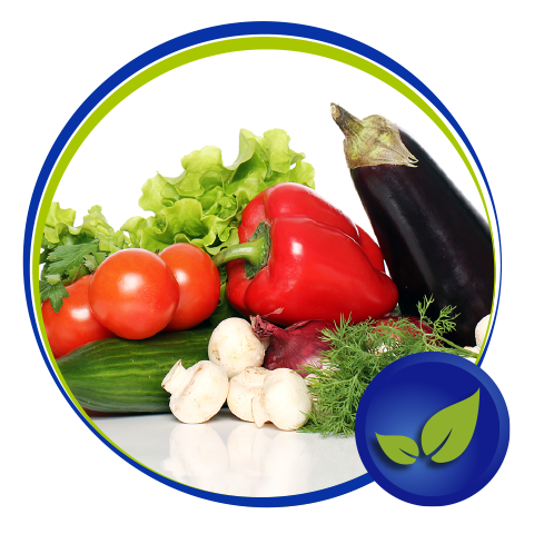 Verduras, hierbas y hortalizas